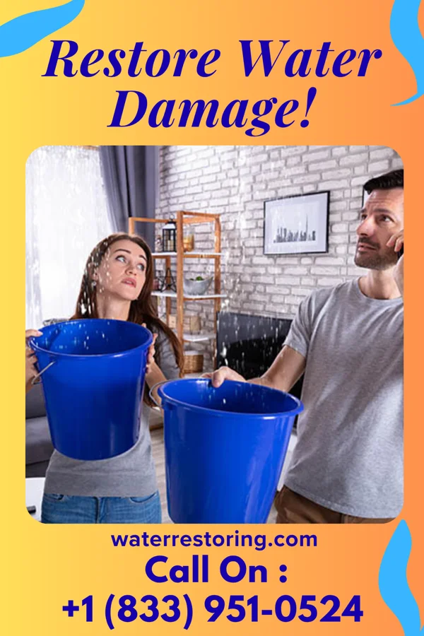 water restoration Precision Drying Masters Bristol