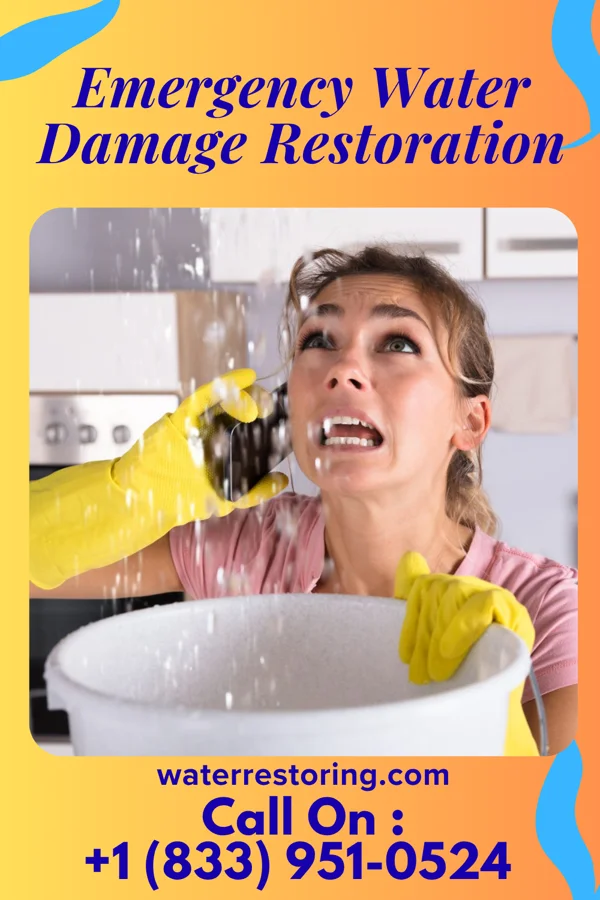 Emergency Water Damage Restoration in Bristol, CT